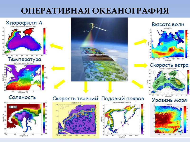 Оперативная океанография