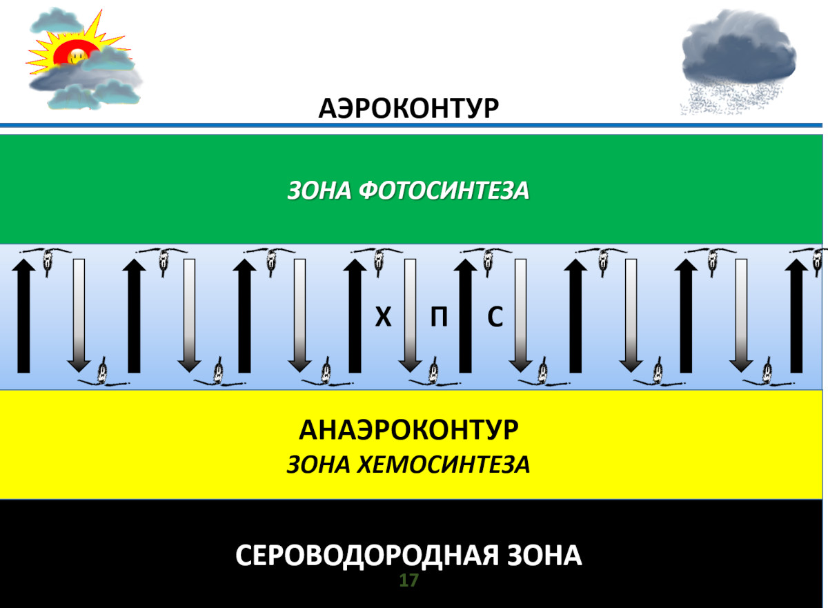 Южный берег Крыма