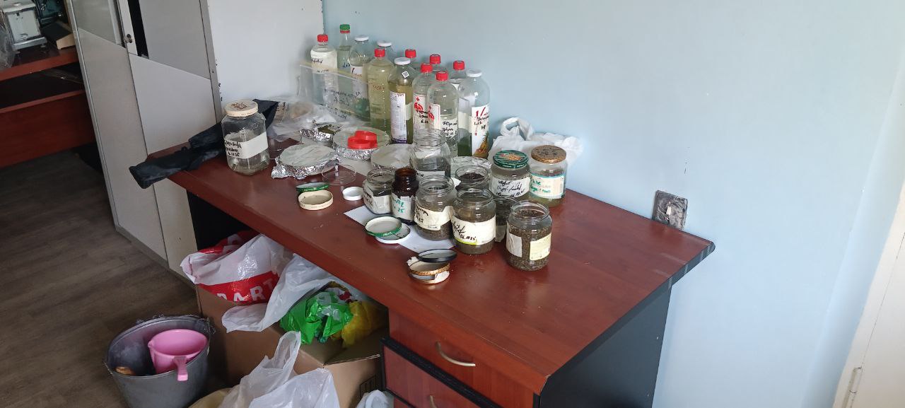 Визит в Армению