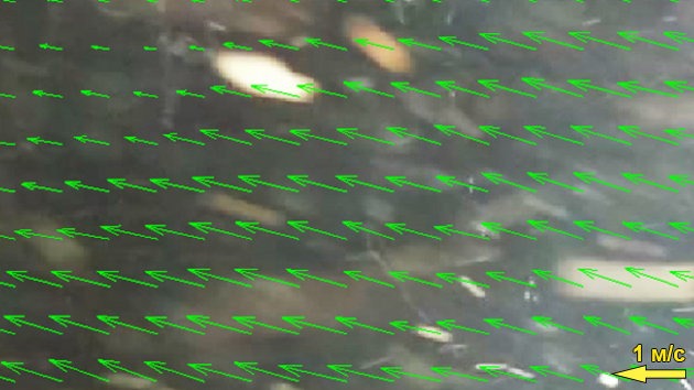 Исследования морских устьев рек юго-западного Крыма в 2025 г.