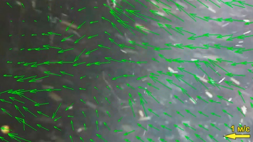 Исследования морских устьев рек юго-западного Крыма в 2025 г.